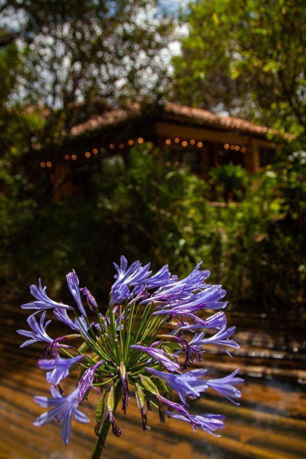 Clavellino House En Villa De Leyva - Tranquilidad Y Naturaleza En Reserva Natural Urbana! Екстер'єр фото